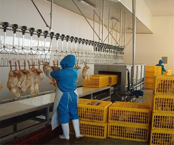 屠宰設備對肉類食品有什么影響？
